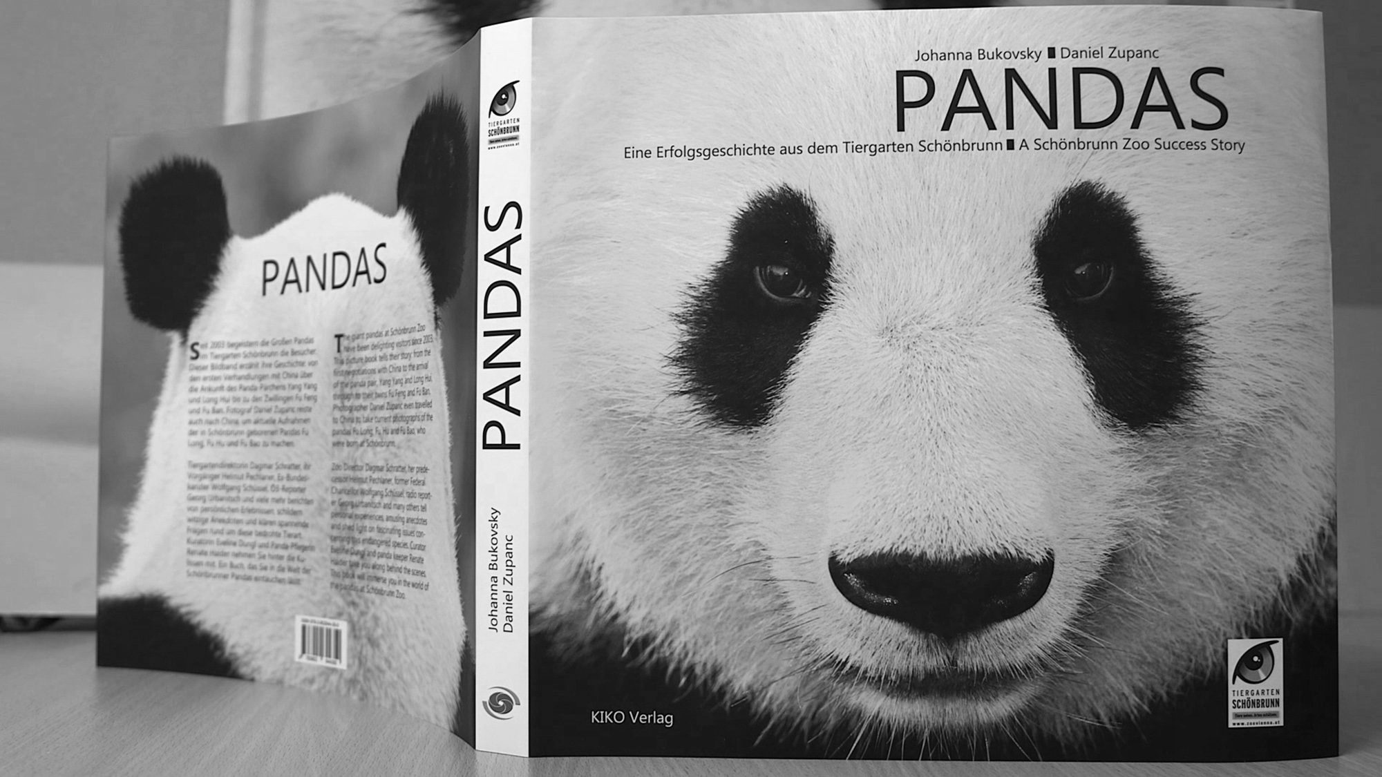 Read more about the article Vienna Zoos Pandas Picture Book Published
