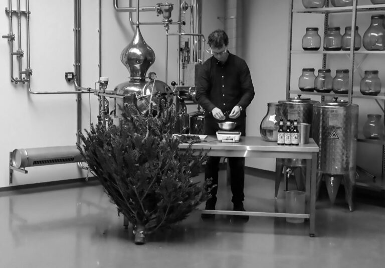 Read more about the article Dutch Brewer Collects Old Xmas Trees To Make Beer