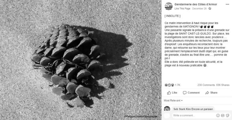 Read more about the article Army Called After Woman Mistakes Pine Cone For Grenade