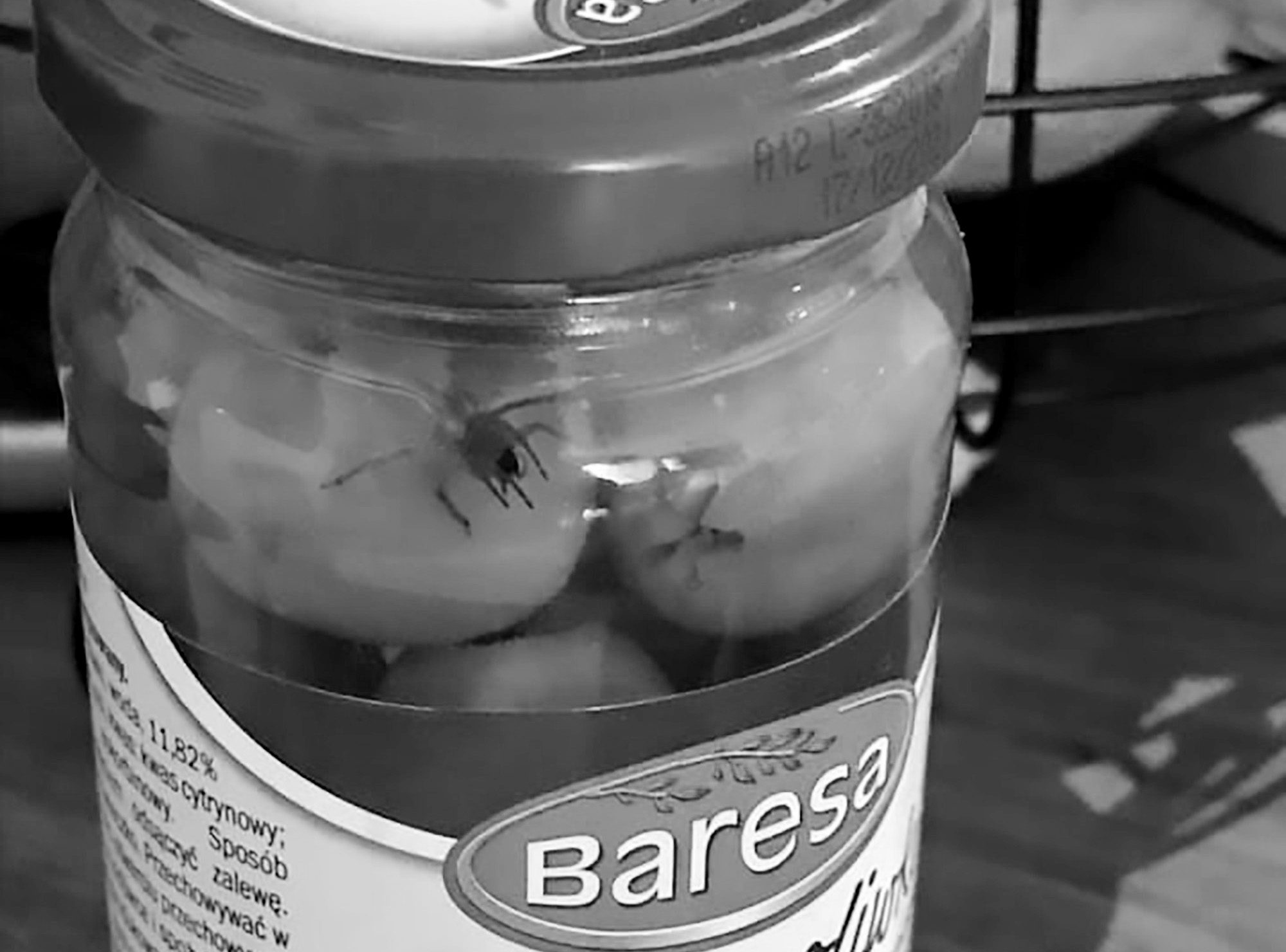 Read more about the article Viral: Live Spider Found In Jar Of Olives From Lidl