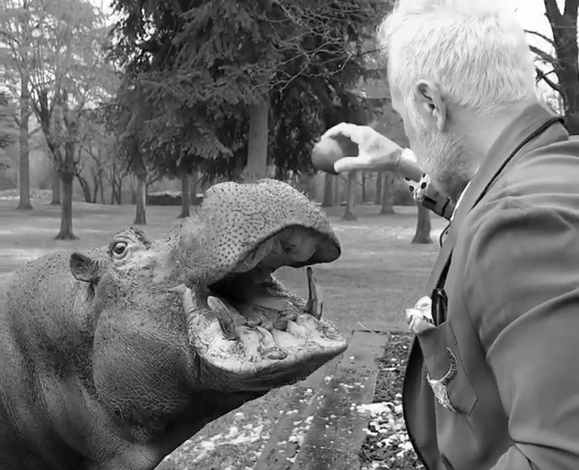 Read more about the article Viral: Millionaire Playboy Enjoys Breakfast With Pet Hippo