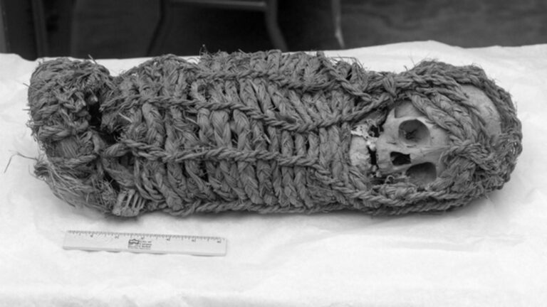 Read more about the article USA To Return 2000yo Mummy Stolen By Grave Robbers