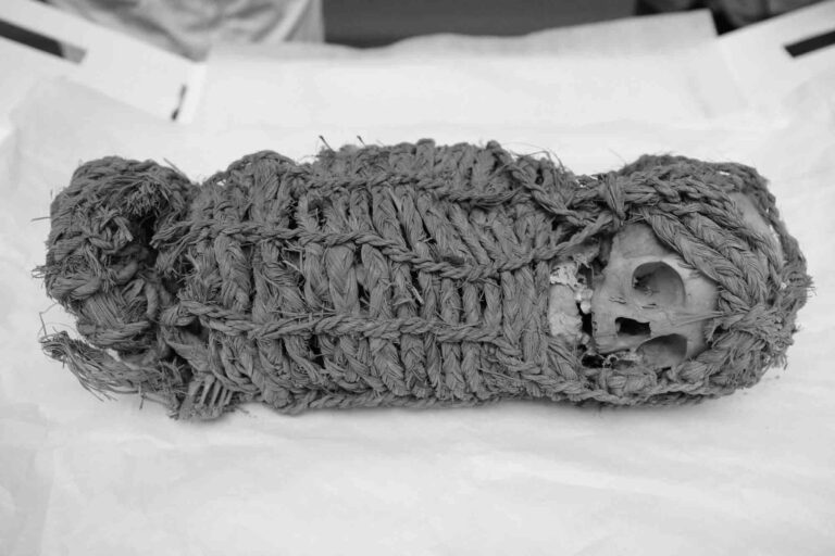 Read more about the article Americans Return 2000yo Child Mummy With Stretched Head