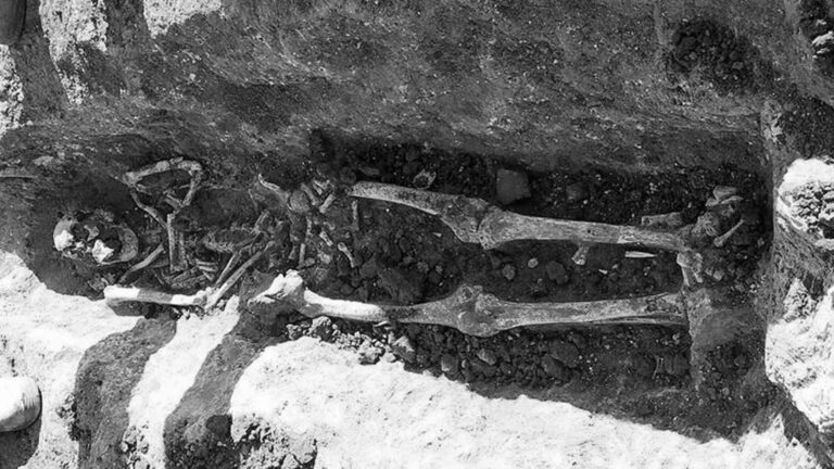 Read more about the article Roman Necropolis With 30 Perfect Graves Found