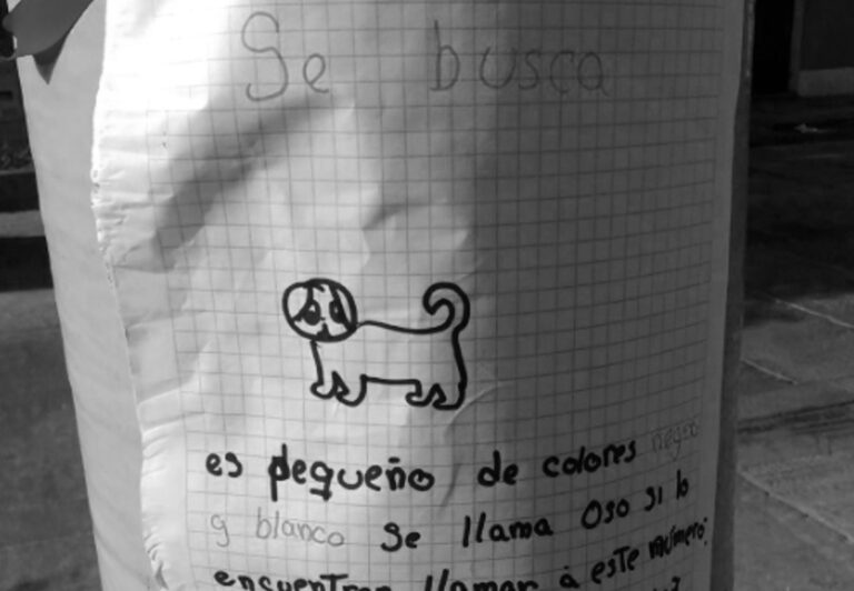 Read more about the article Girl Pins Hand-Drawn Poster Of Missing Dog Around City
