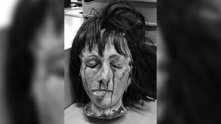 Read more about the article Fake Womans Severed Head Sparks Major Police Alert