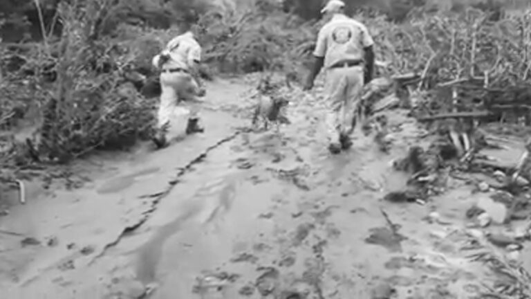 Read more about the article Dog Jumps Up And Down On Rescuers Who Freed It From Mud