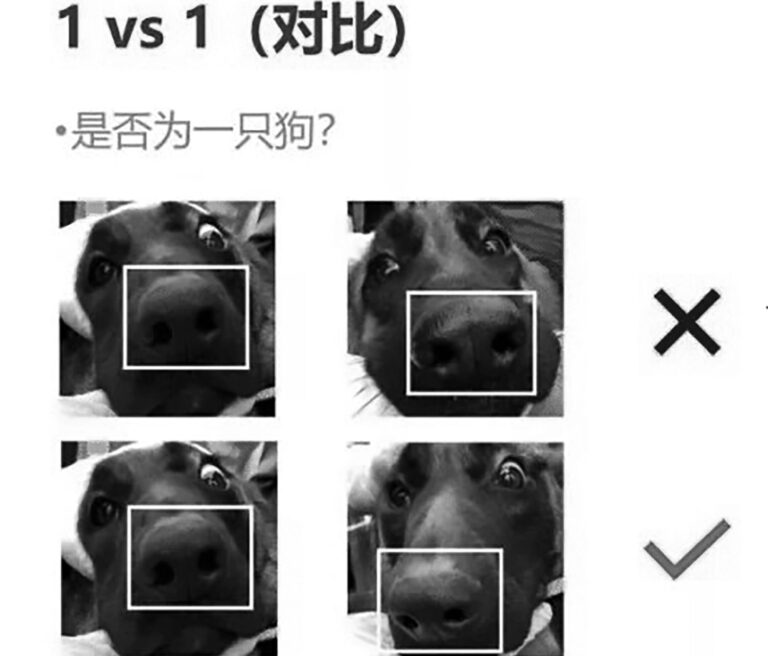 Read more about the article Forget Face Recognition: App Ids Pooches By Their Noses