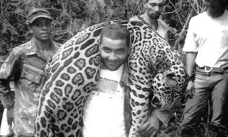 Read more about the article Killer Dentist Poached 1k Protected Jaguars