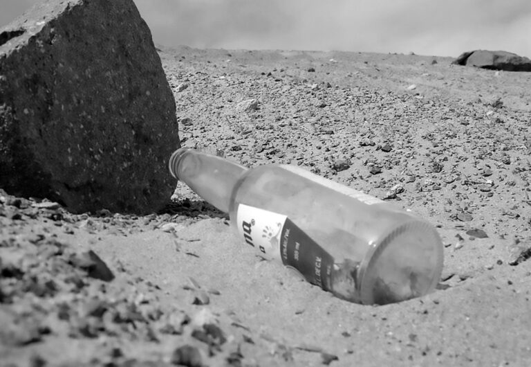 Read more about the article Rare Species Die Inside Beer Bottle Dumped In Desert