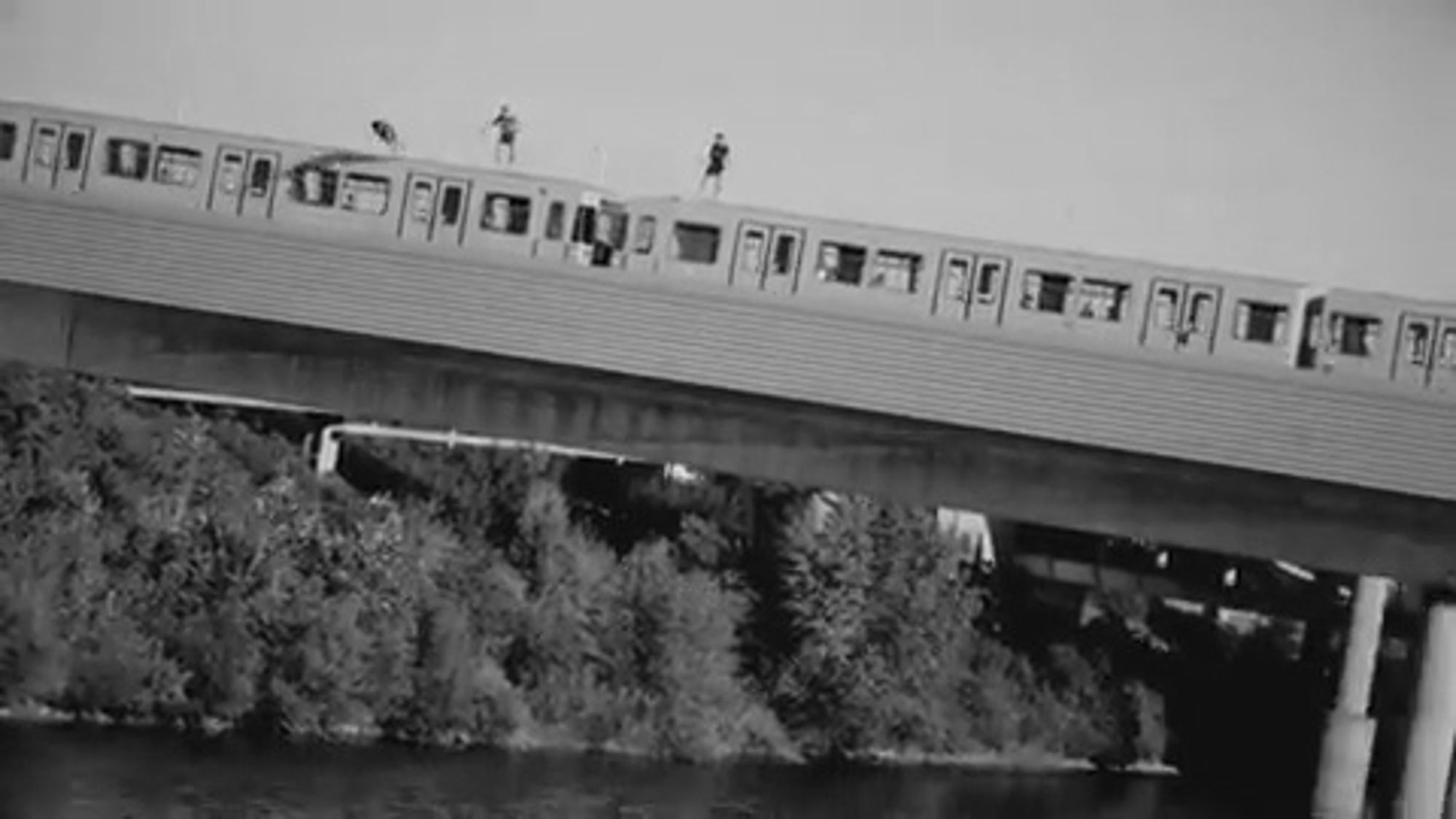 Read more about the article Men Jump From moving Train Into Danube