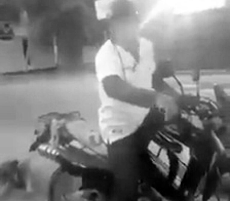 Read more about the article Driver Rescues Dog After It Was Dragged Behind Motorbike