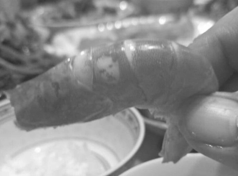 Read more about the article Man Finds Taiwan Founders Face On Cooked Prawn
