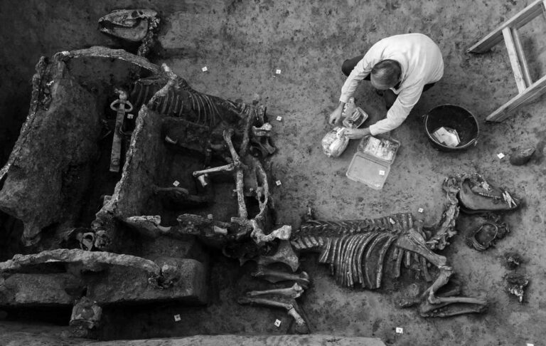 Read more about the article Archaeologists Unearth Roman Chariot With Horse Fossils