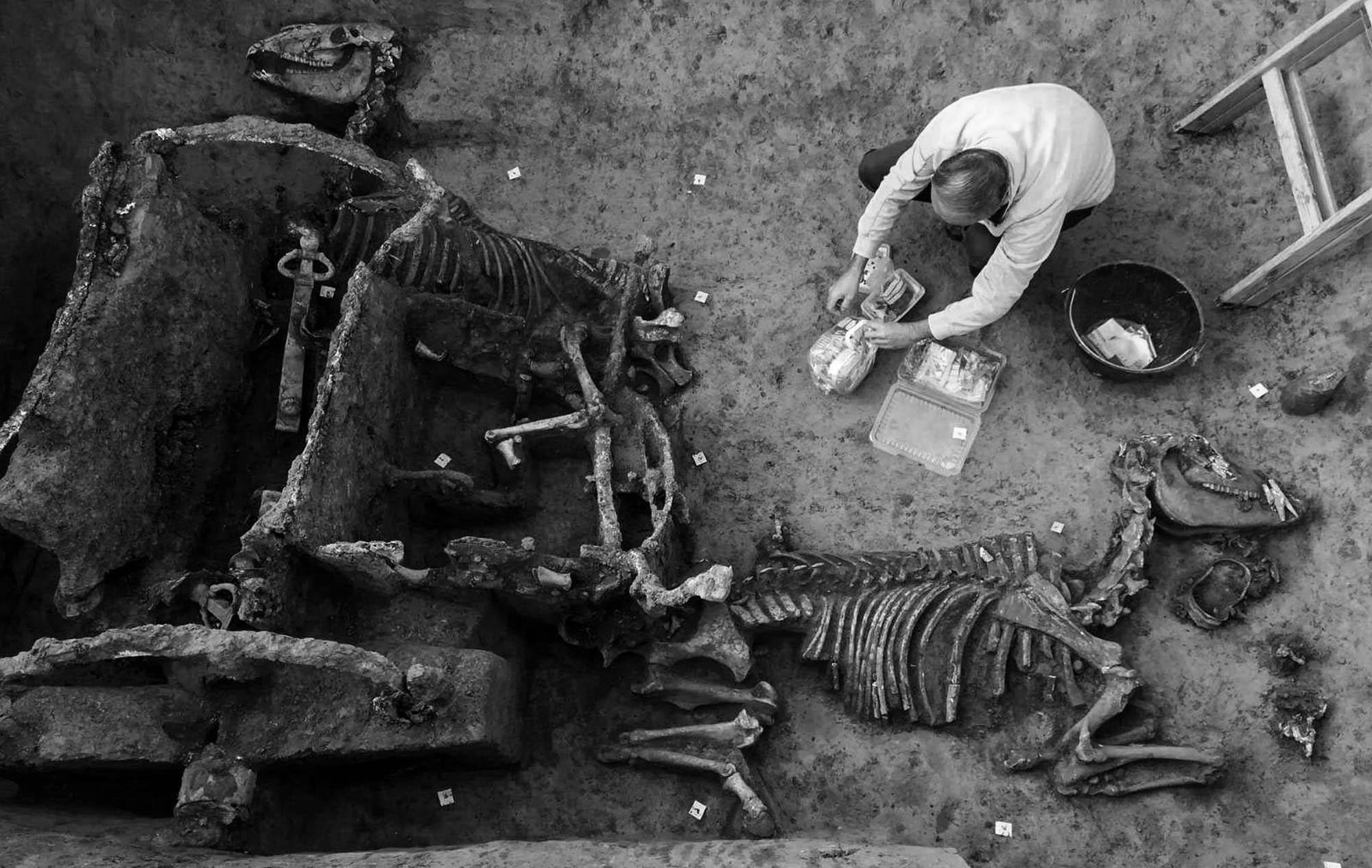 Archaeologists Unearth Roman Chariot With Horse Fossils
