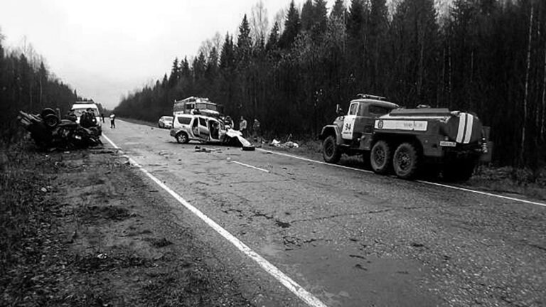 Read more about the article 3 Die In Lada Crash But Croc, Snake And Rabbit Survive