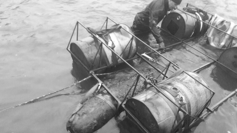 Read more about the article Experts Retrieve 700kg WWII Torpedo From Polish Lake