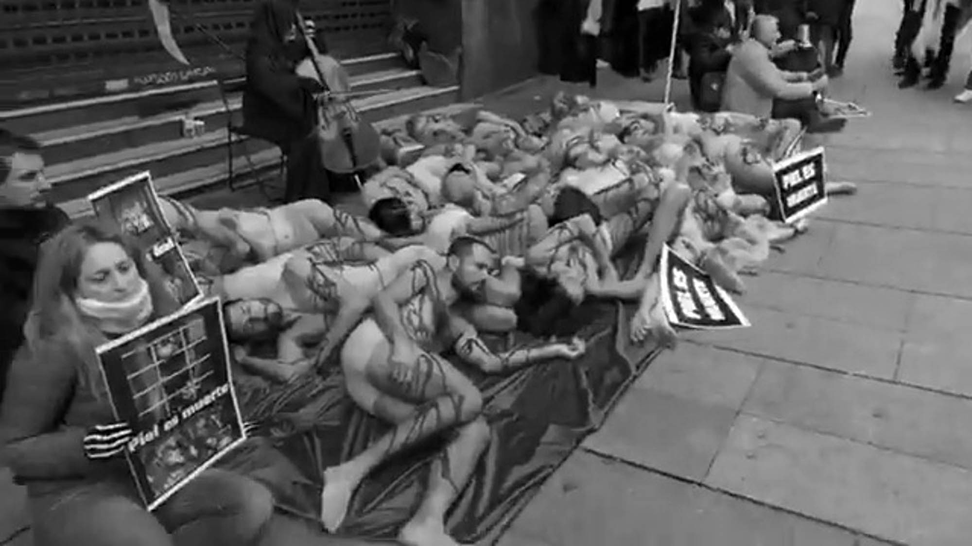 Read more about the article Bloodied Activists In Half-Naked Madrid Fur Protest