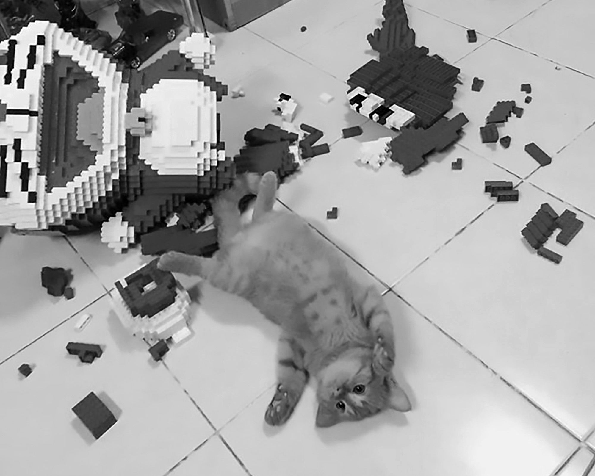 Read more about the article Cat Wrecks 2,432-Piece Model Owner Spent Week Building