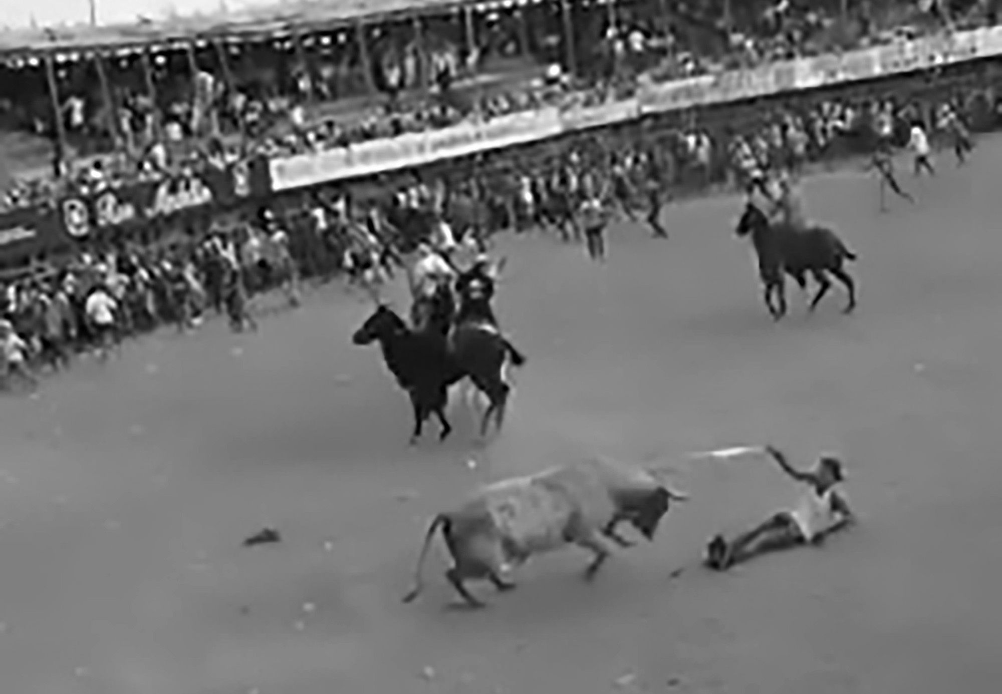 Read more about the article Bull Gores Man And Sends Him Flying At Bullfight Event