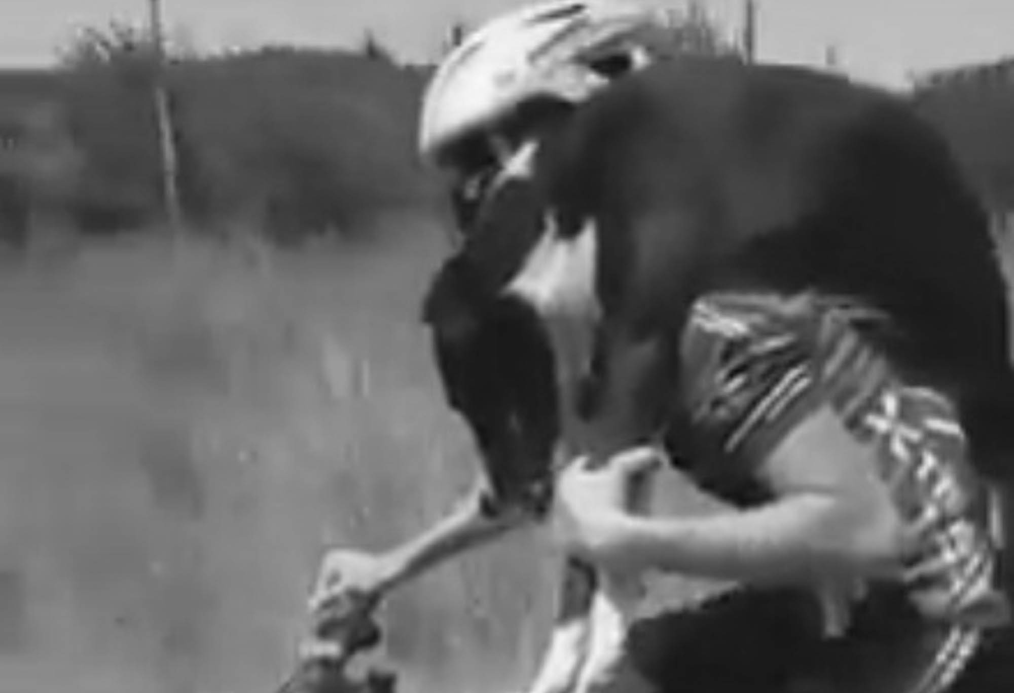 Read more about the article Kind Cyclist Rides To Town With Sick Dog On Back