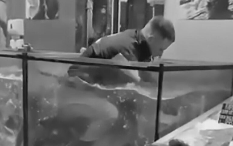 Read more about the article Man Retrieves Ring From Aquarium After GF Says No