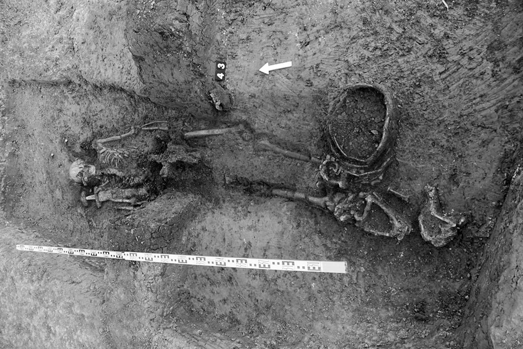 Read more about the article Viking Mercenary Bodies Found At Medieval Burial Site