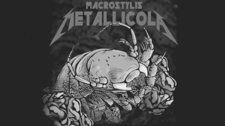 Read more about the article Tiny Deep Sea Crab Named After Rock Giants Metallica