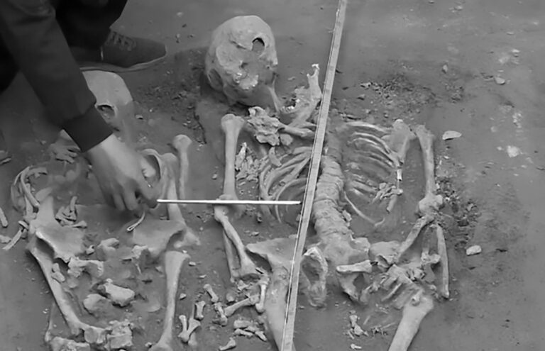 Read more about the article 3000yo China Human Sacrifices Had IS-Style Beheadings