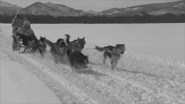 Read more about the article Russian Troops In War Games With Dog Sleds, Snowmobiles