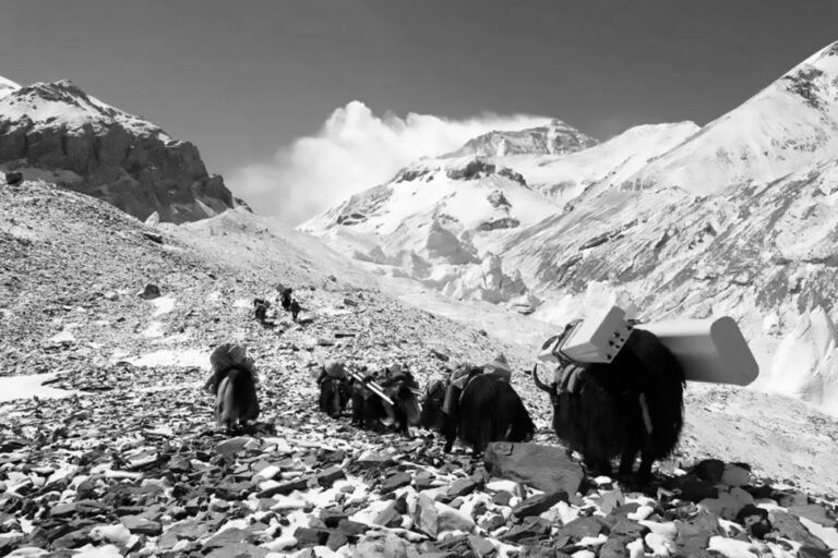 Read more about the article Low Tech Yaks Carry High Tech 5G Up Mount Everest