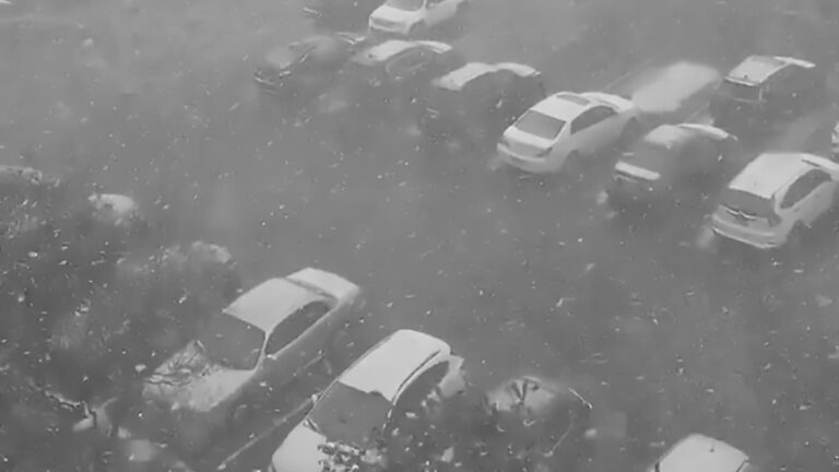 Read more about the article Footage Shows Record-Breaking May Snow In New York