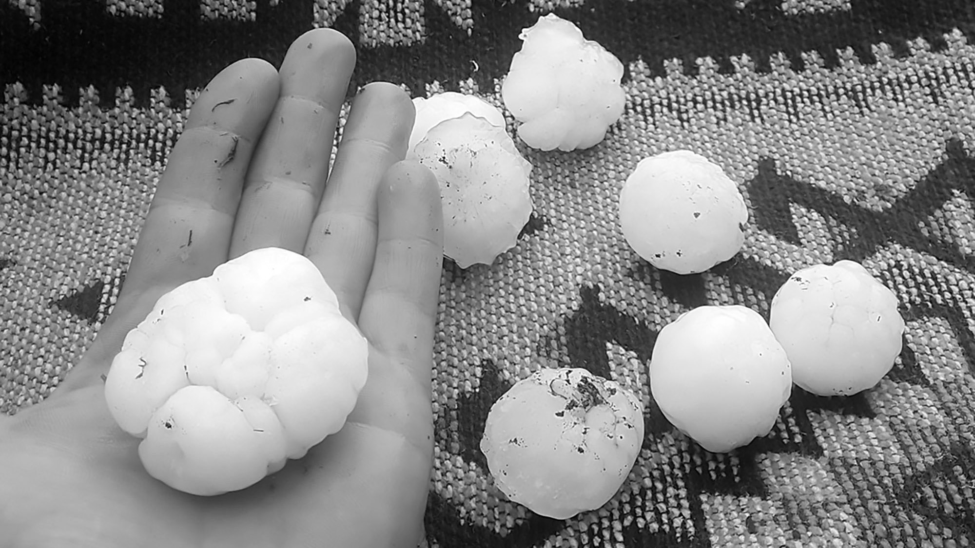 Read more about the article Moment Egg-Sized Hailstones Fall As Storm Hits Romania