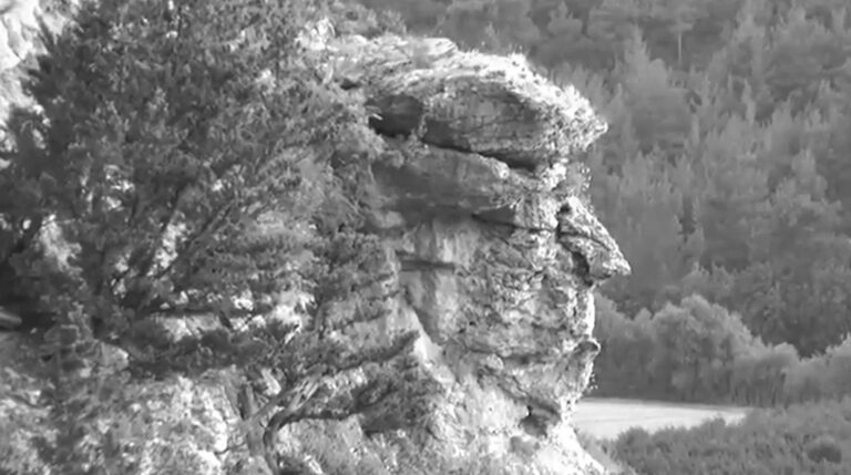 Read more about the article Mount Trumpmore: Rock Becomes Hotspot For POTUS Likeness
