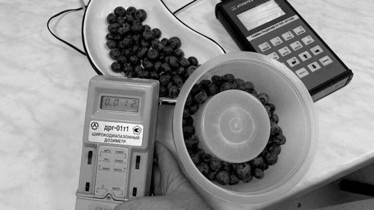 Read more about the article Radioactive Blueberries Found On Sale In Russia