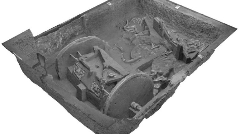 Read more about the article China Shows 1000 BC Bronze Chariot Buried with Horses