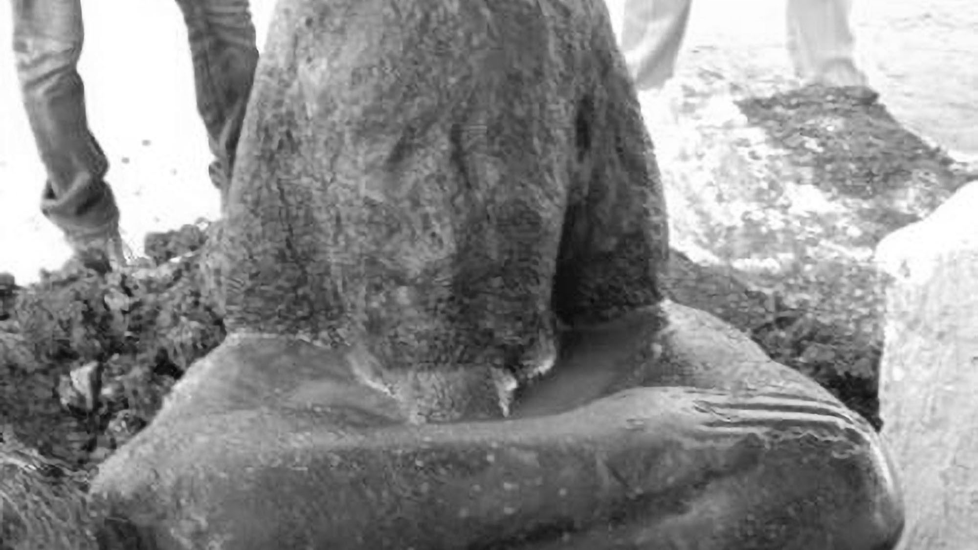 Read more about the article Statue of Ancient Egyptian Goddess Uncovered