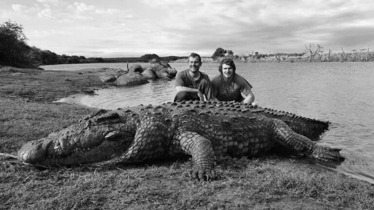 Read more about the article Enormous Crocodile Died Eating Fishing Net And Fish
