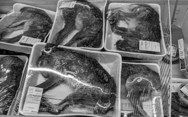 Read more about the article French Supermarket Sells Dead Furry Animals In Vacuum Packing