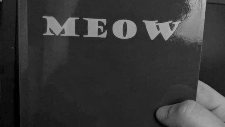 Read more about the article Bookworm Regrets Buying Cat Book With 136 Pages Of The Word Meow