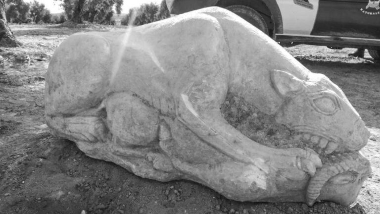 Read more about the article Farmer Finds Statue Of Hunting Beast That Is Thousands Of Years Old