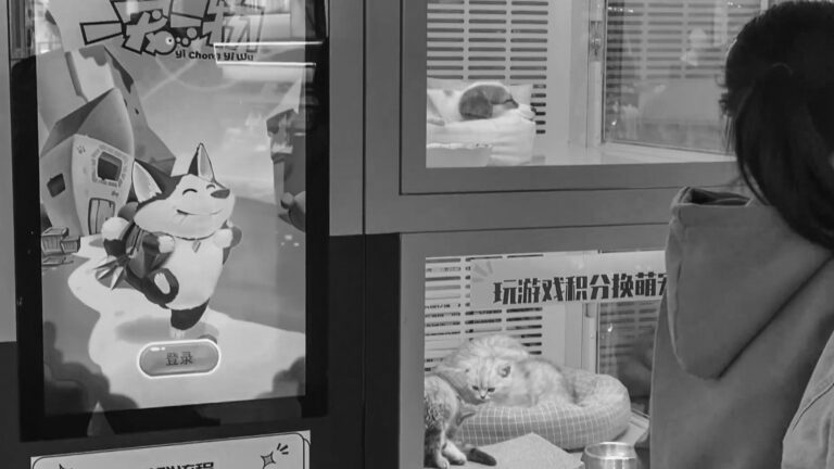 Read more about the article Cats And Dogs Displayed In Shopping Centre Machine
