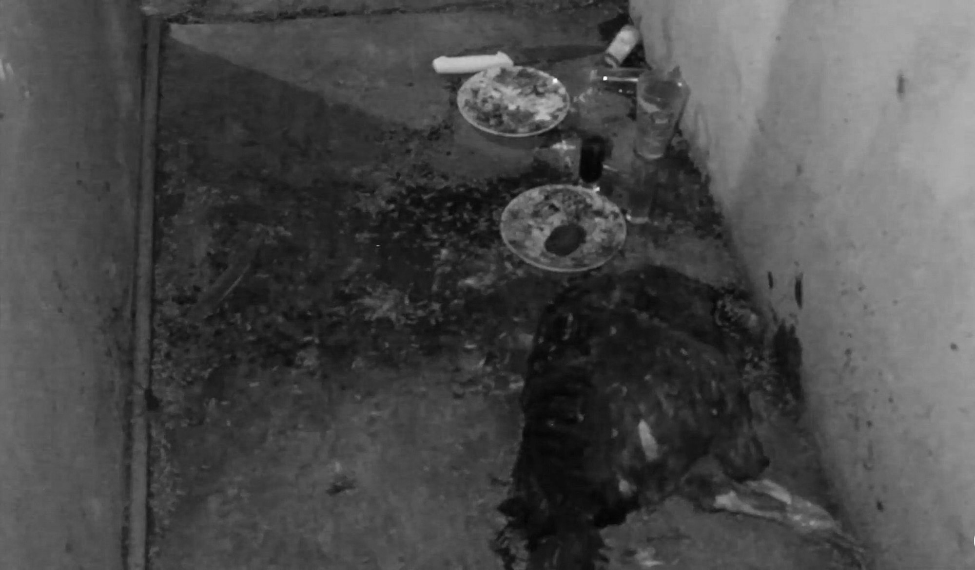 Read more about the article Black Magic Altar And Beheaded Chicken Found In Flat Used By Migrants Crossing To US