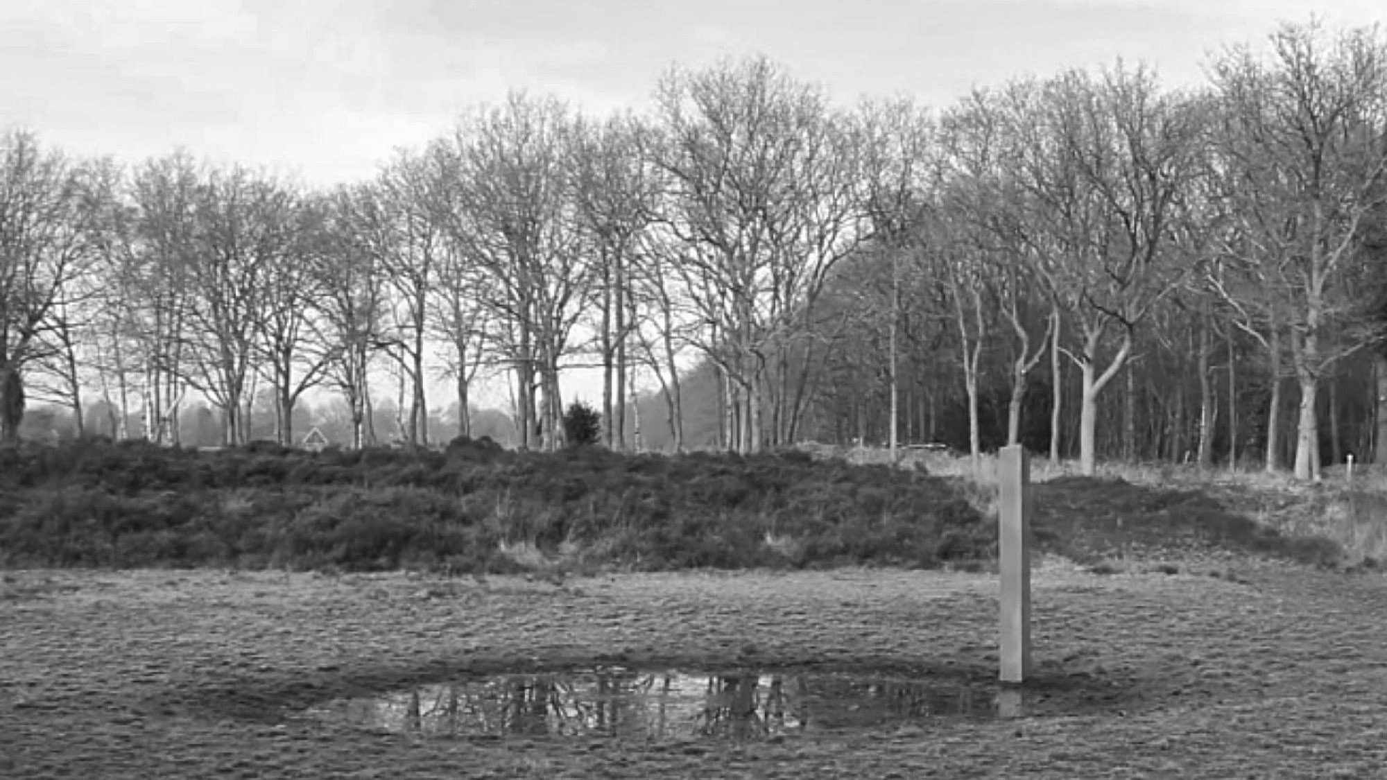 Read more about the article 6th Monolith Appears In Netherlands With No Footprints Despite Frosty Ground