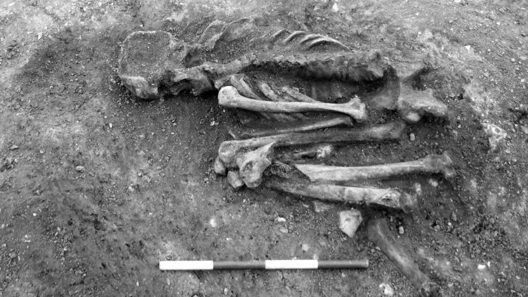 Read more about the article Prehistoric Graves On East Cambridge Pasture From 4500 Years Ago Found At Building Site
