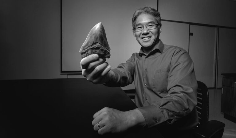 Read more about the article Focus On Scientist Who Discovered Prehistoric Giant Megalodon Shark Babies Ate Siblings In Womb