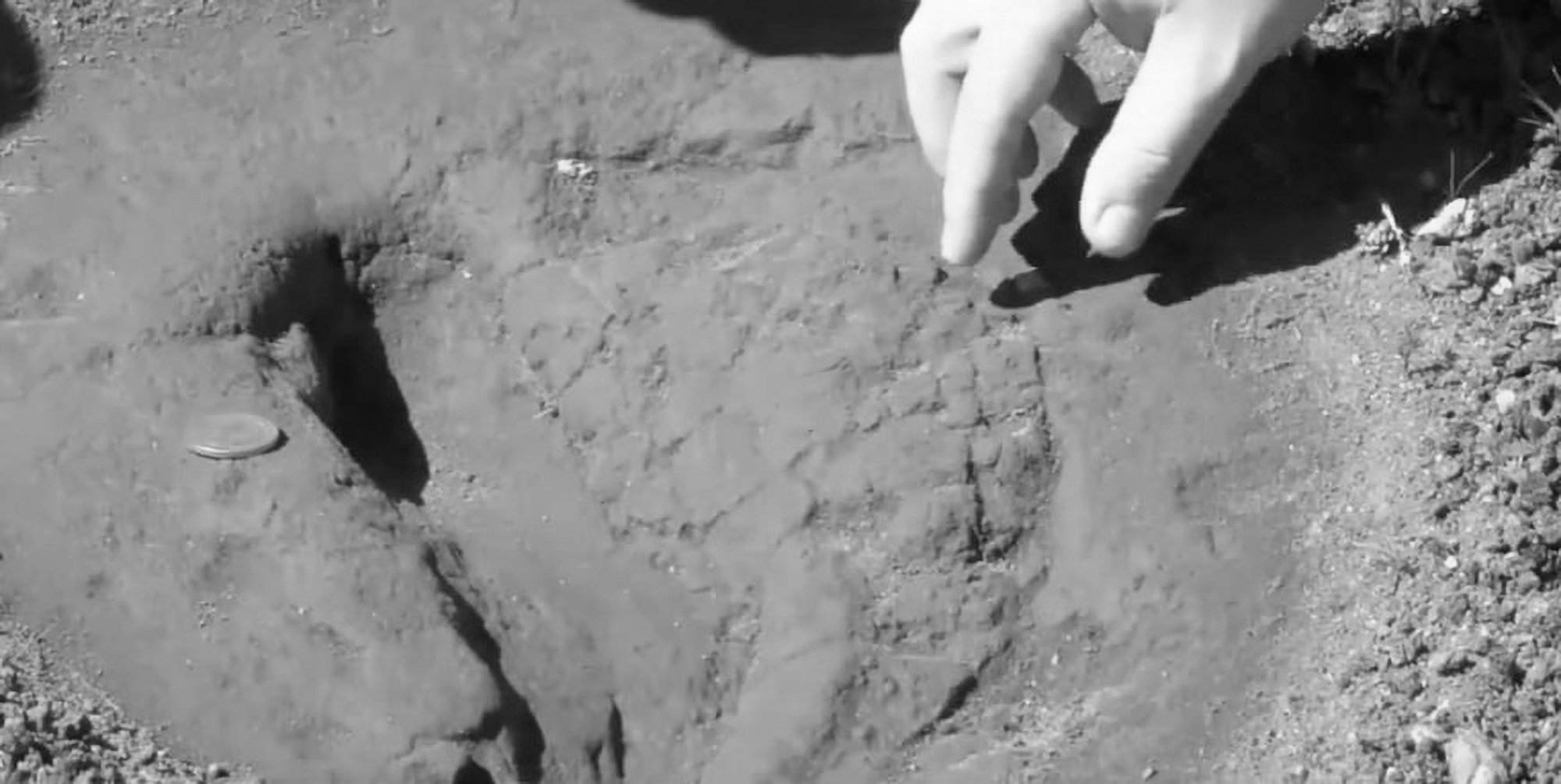 Read more about the article Ancient Footprints Found In The 1960s Confirmed To Have Been Made By People Living 5,000 Years Ago