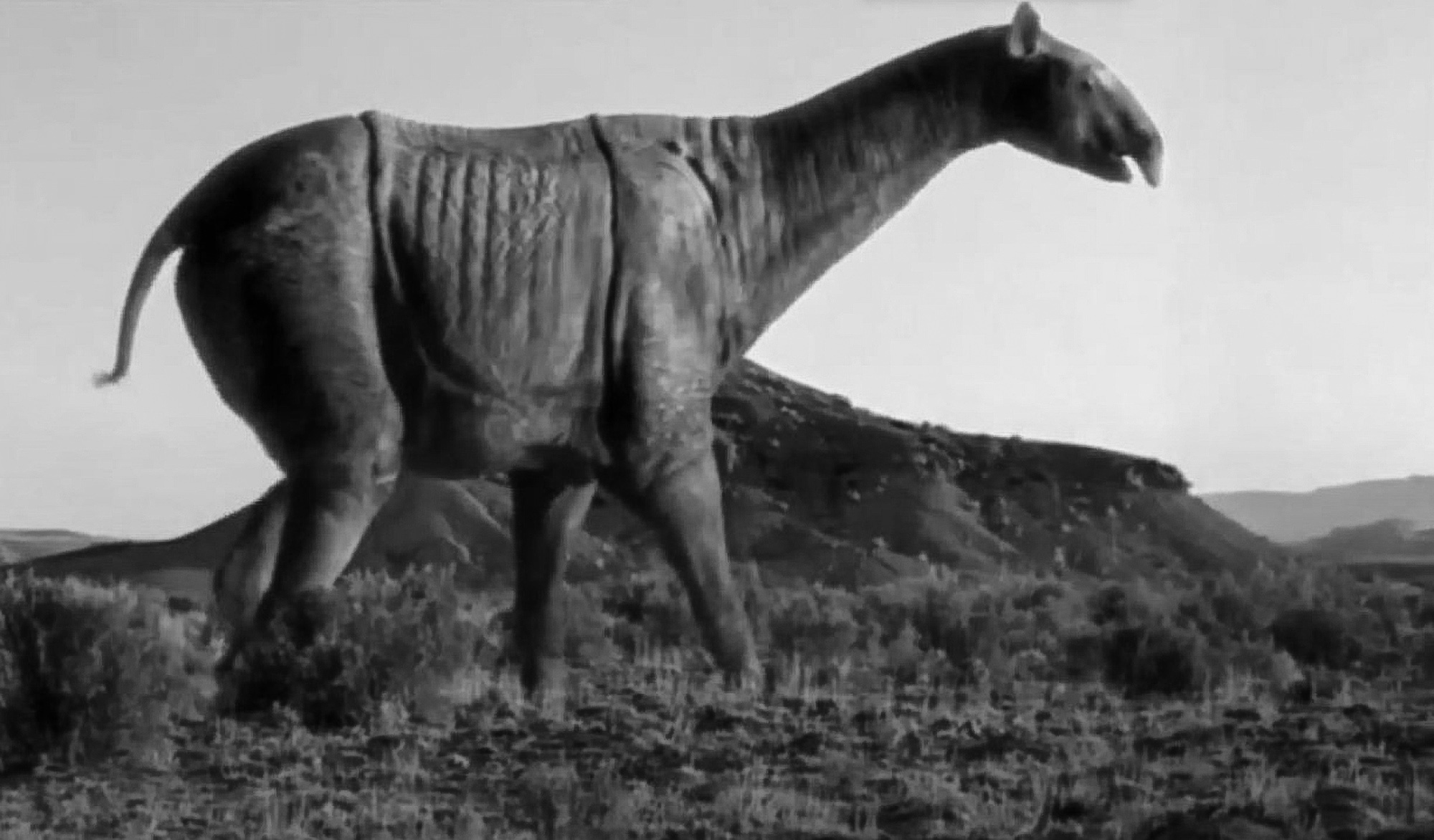 Farmer Discovers Skeleton Of Giant Hornless Rhino, The Largest Land