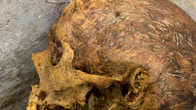 Read more about the article Archaeologists Discover Astonishingly Well Preserved 2,000 Year Old Mummy With Hair On Its Head In Ancient Pompeii