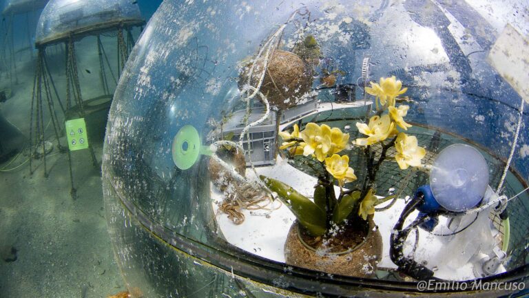 Read more about the article Futuristic Underwater Farm Where Crops Grow In Alien Like Pods Could Be Future Of Farming